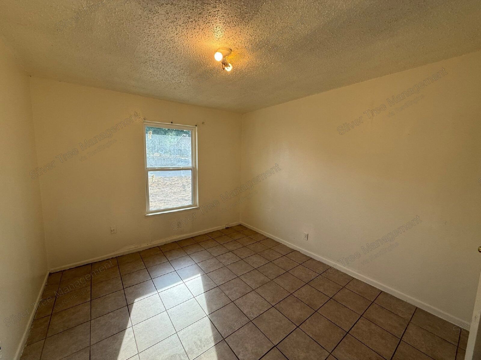 Comfortable 1-Bedroom Apartment in Bowie – Available Now! property image